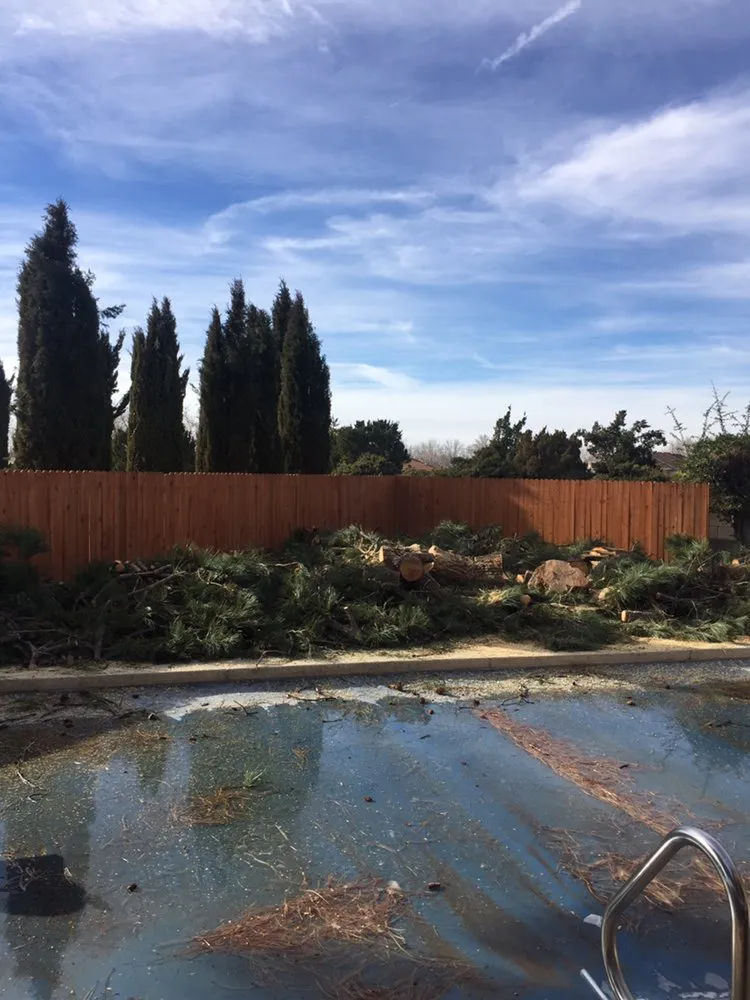 Expert landscape design for outdoor upgrades in Albuquerque, NM by Avila’s Pool Service & Landscaping