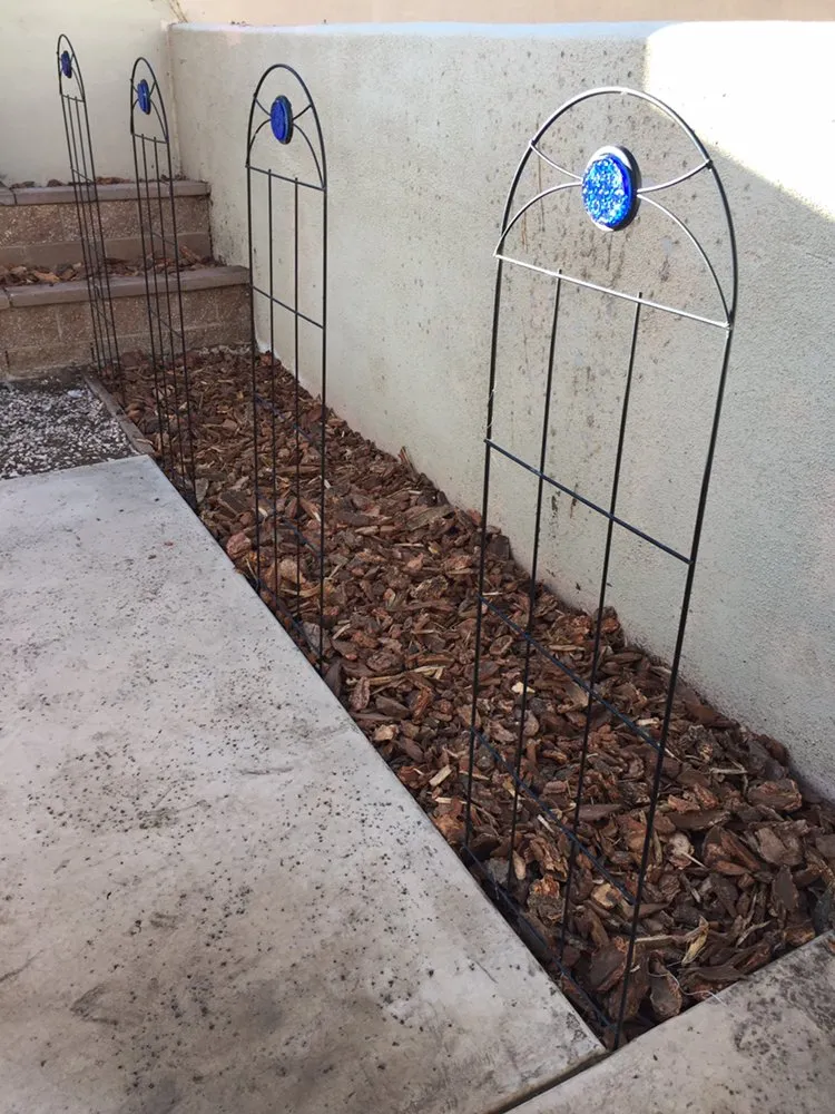 Professional lawn mowing service for year-round maintenance in Albuquerque, NM by Avila’s Pool Service & Landscaping