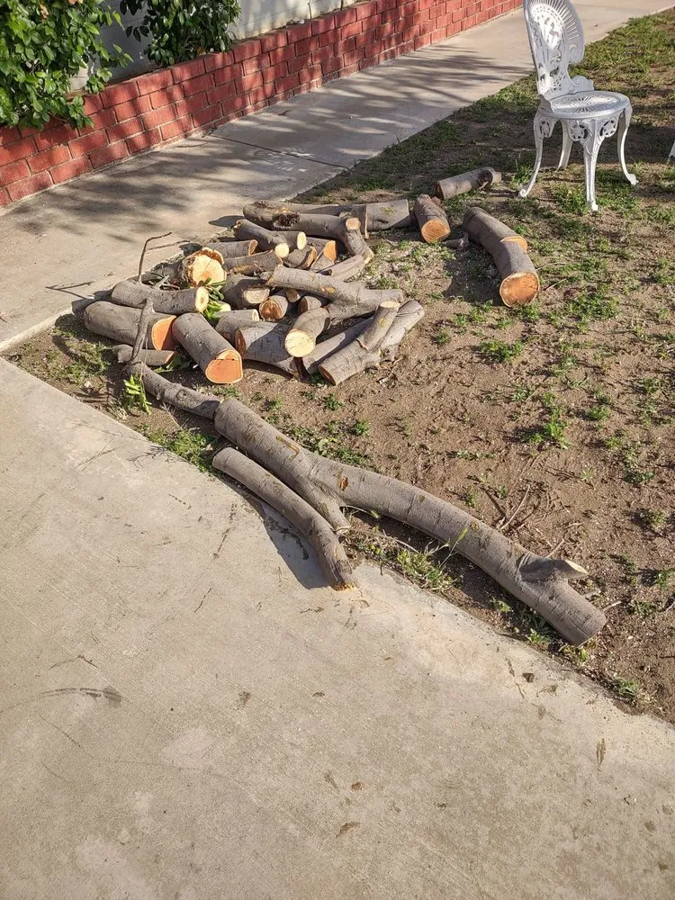 Trusted garden landscaping in Covina, CA by Avilas Tree Service