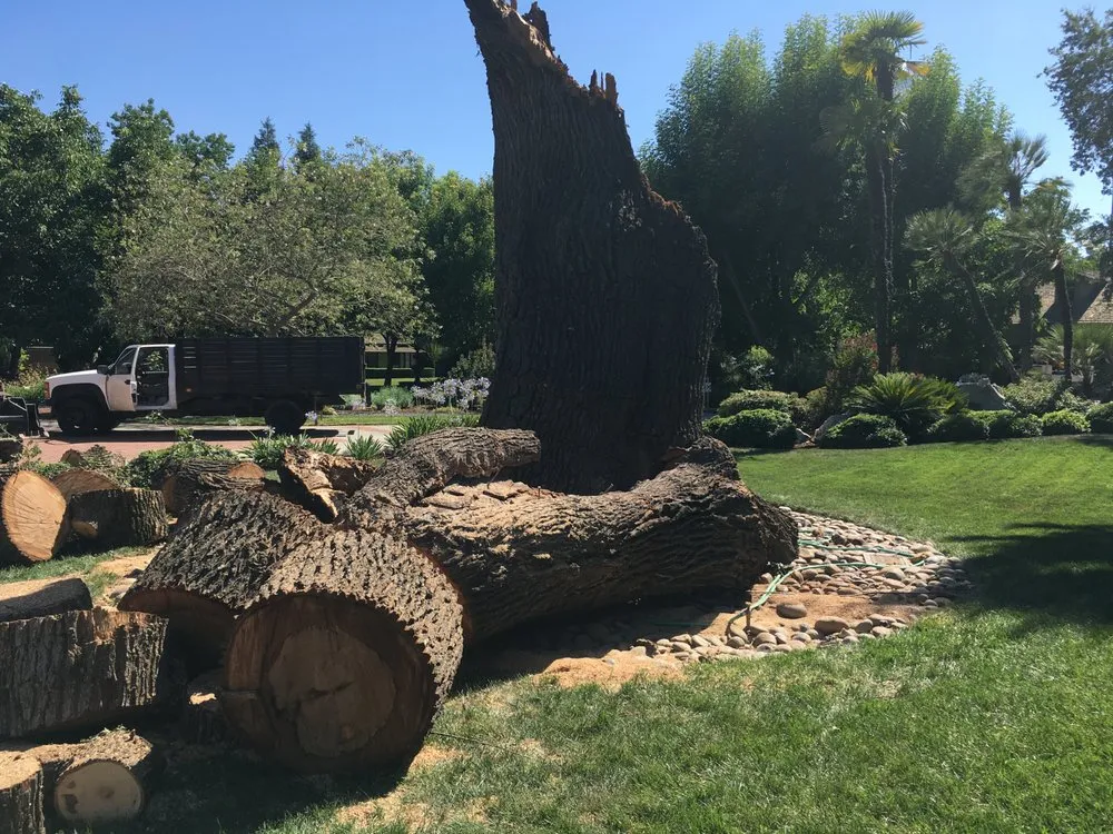 Reliable lawn care service in Covina, CA - Avilas Tree Service