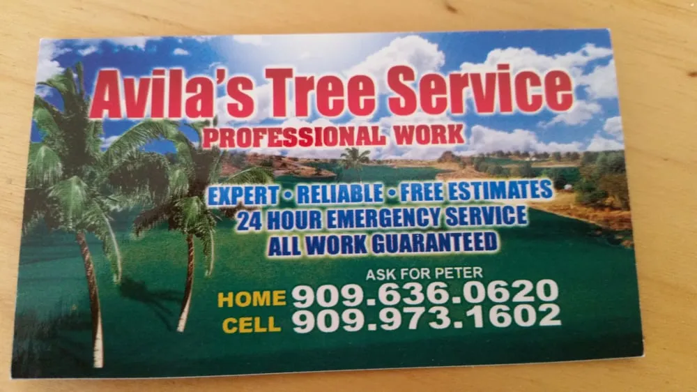 Professional landscape installation in Covina, CA - Avilas Tree Service