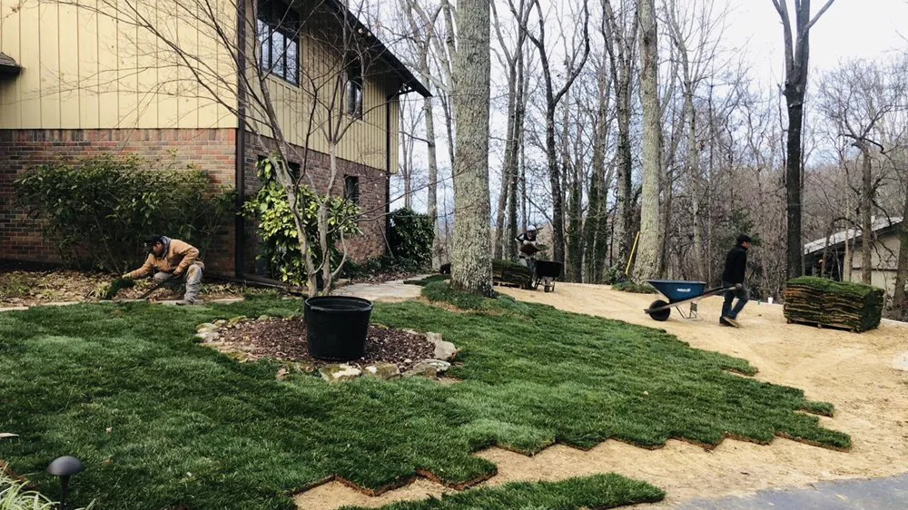 Trusted yard cleanup service with custom design across Decatur, AL - Aviles Brothers Landscaping
