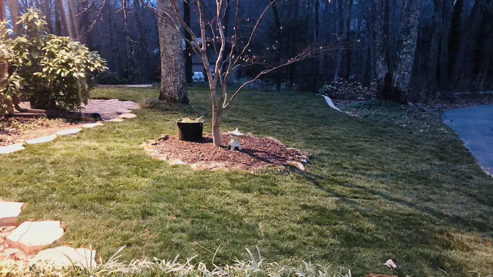 Trusted landscape installation in Decatur, AL by Aviles Brothers Landscaping