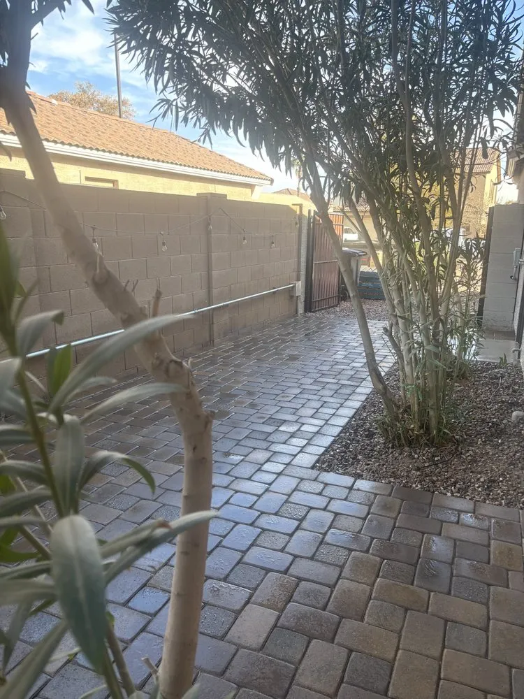 Custom lawn care service near you across Mesa, AZ - Aviles Landscape