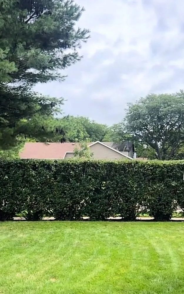 Affordable garden landscaping with custom design in Wheeling, IL by Aviles Landscaping Services