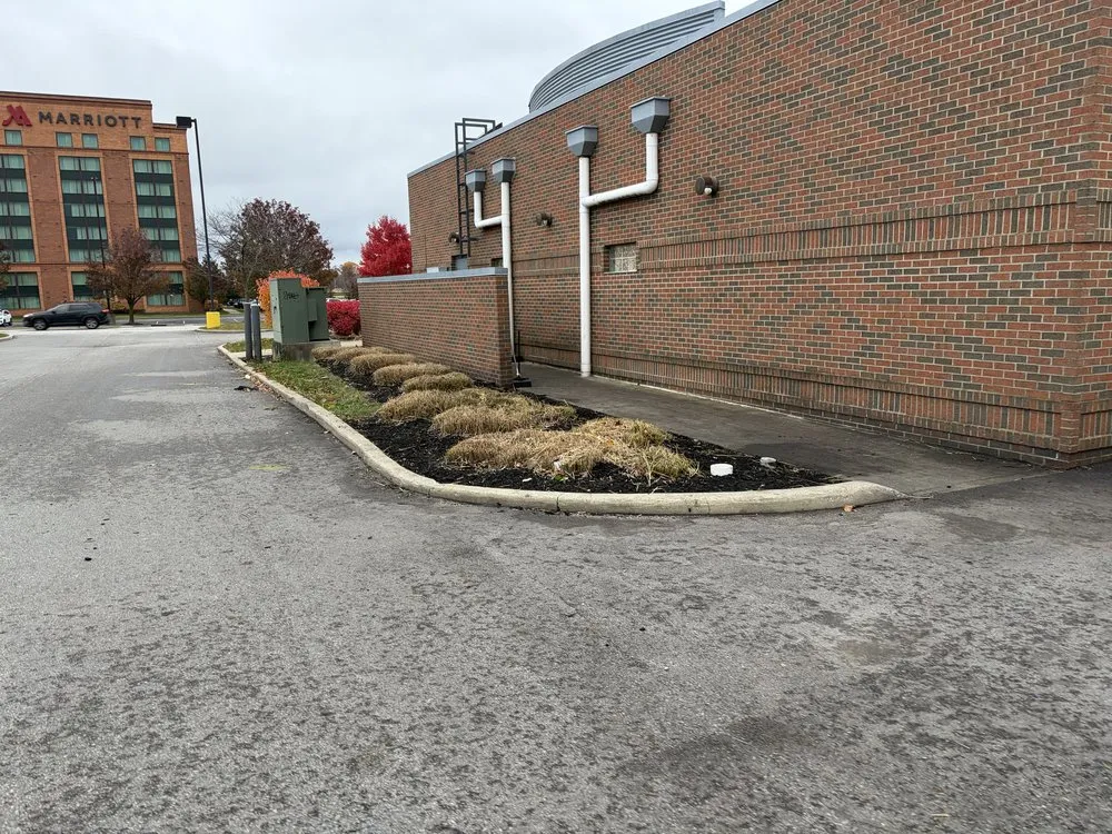 Affordable landscape installation in Youngstown, OH by Aviles Landscaping