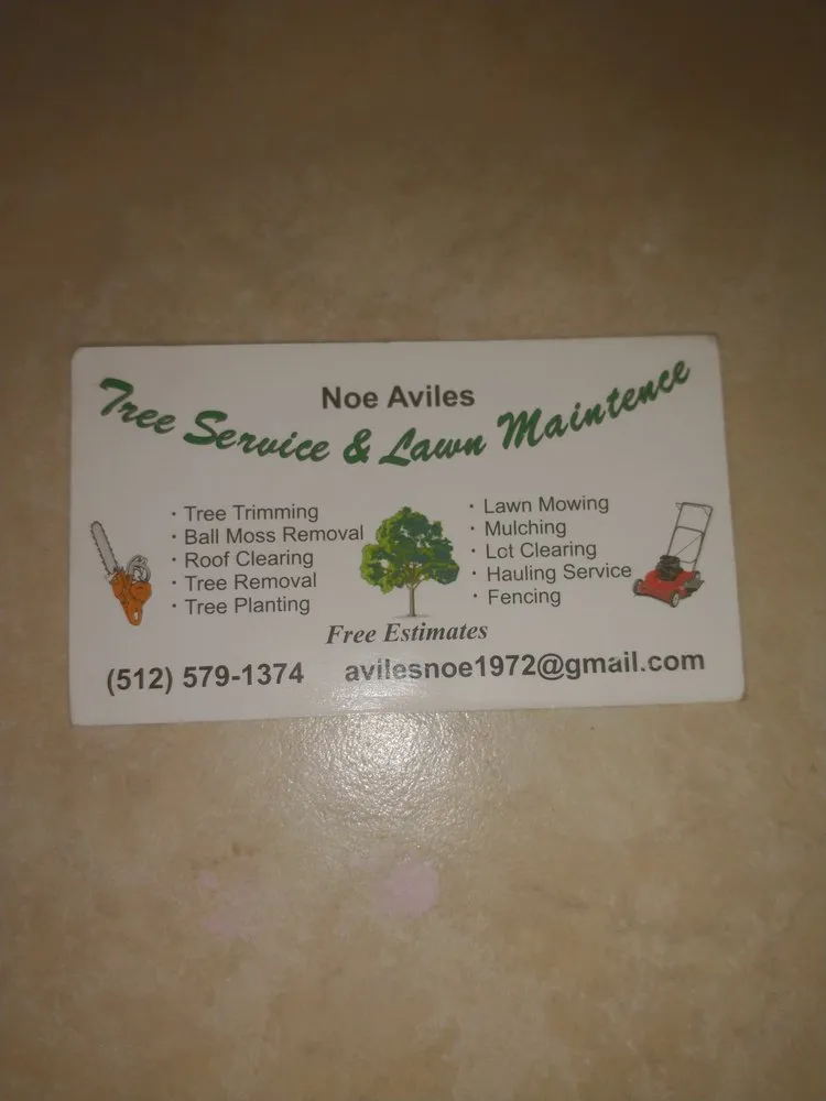 Trusted residential landscaping experts serving Elgin, TX - Aviles Tree Service