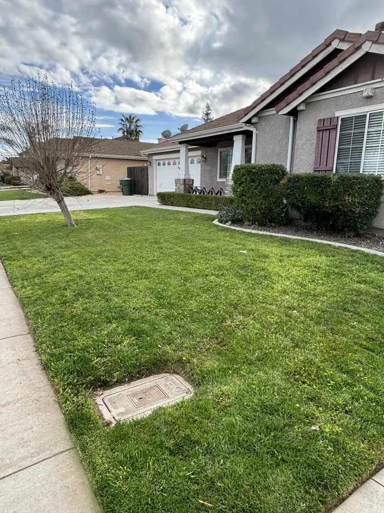 Top-rated lawn care service in Modesto, CA by Avina Landscaping
