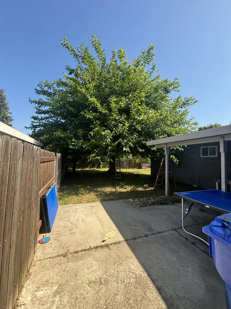 Professional residential landscaping for year-round maintenance in Modesto, CA by Avina Landscaping