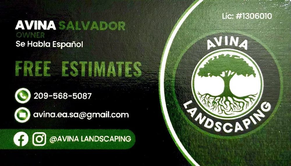 Local lawn care service in Modesto, CA by Avina Landscaping