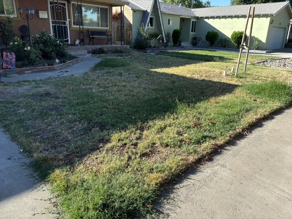 Custom garden landscaping for year-round maintenance across Modesto, CA - Avina Landscaping