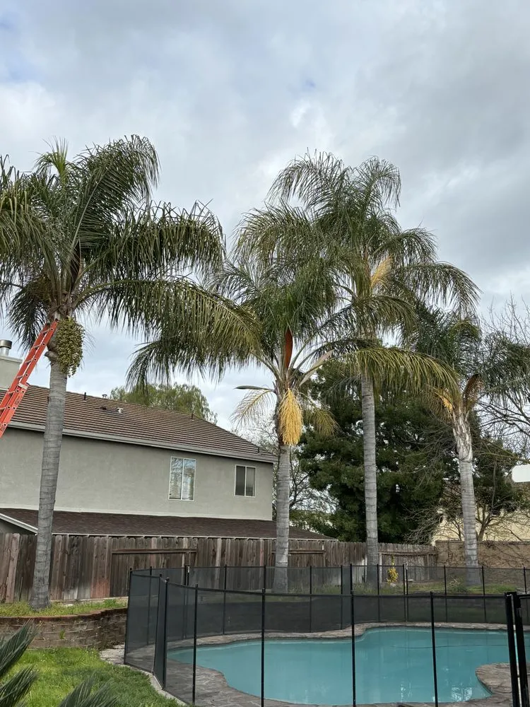 Expert landscaping services experts serving Modesto, CA - Avina Landscaping