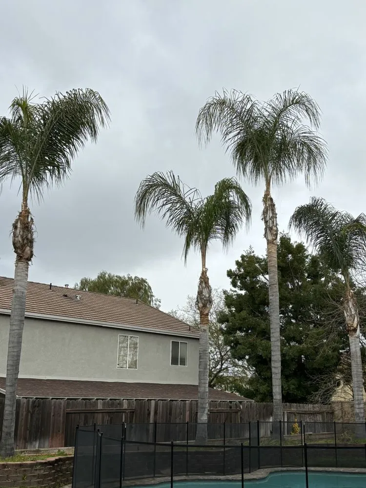 Trusted landscape design in Modesto, CA by Avina Landscaping