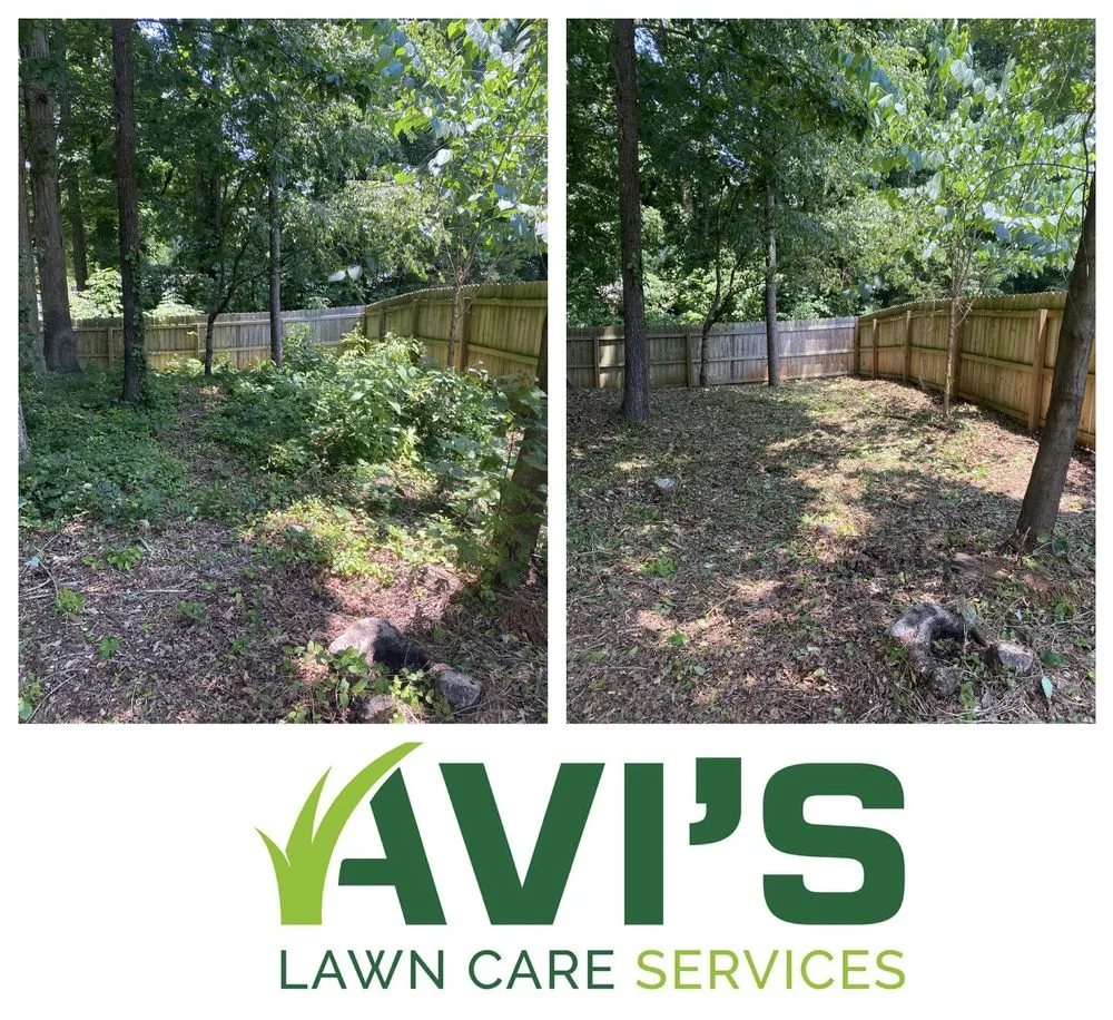 Professional landscape design in Charlotte, NC - Avi’s Lawn Care Services