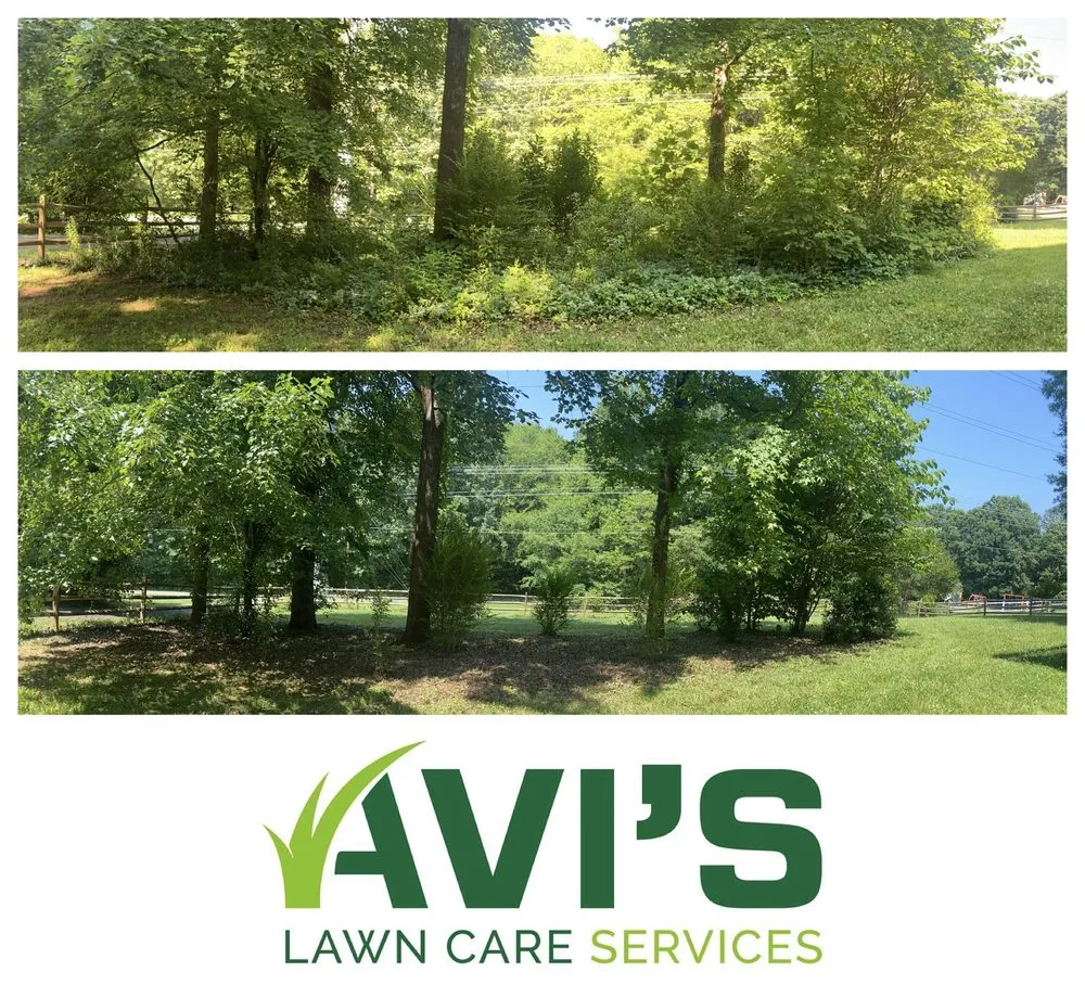 Top-rated landscape installation experts serving Charlotte, NC - Avi’s Lawn Care Services