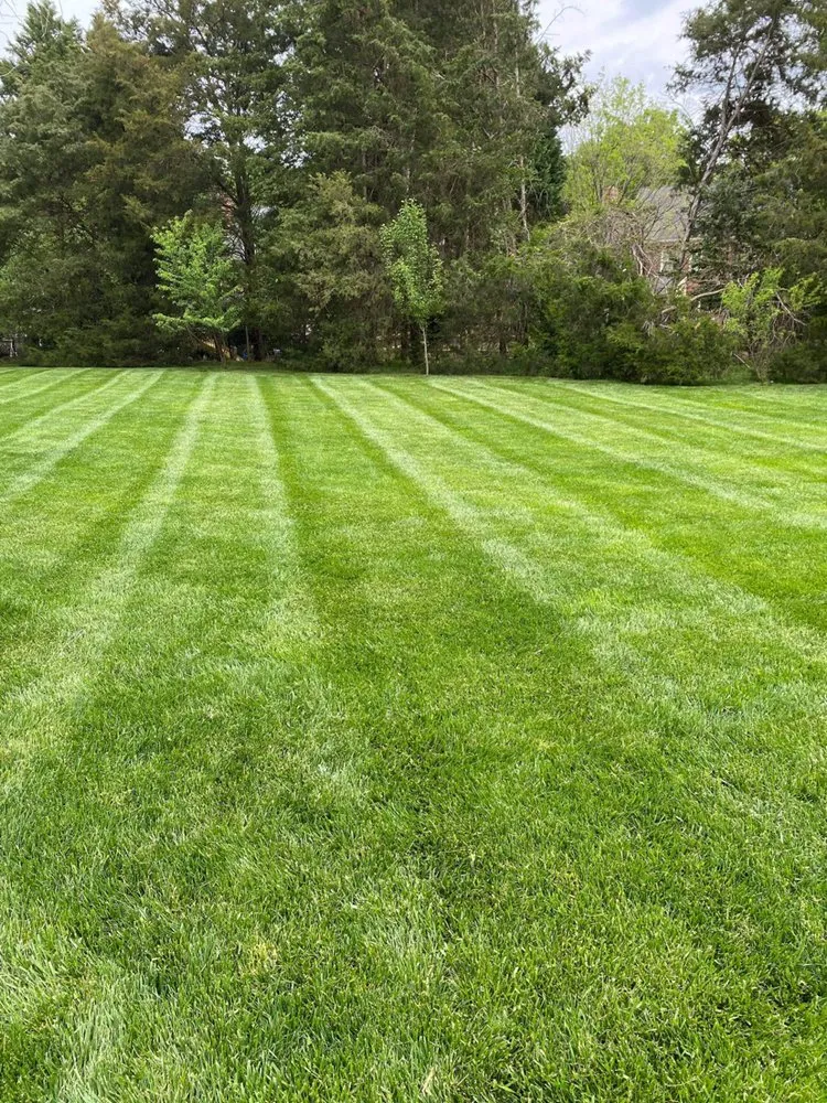 Affordable garden landscaping for year-round maintenance across Charlotte, NC - Avi’s Lawn Care Services