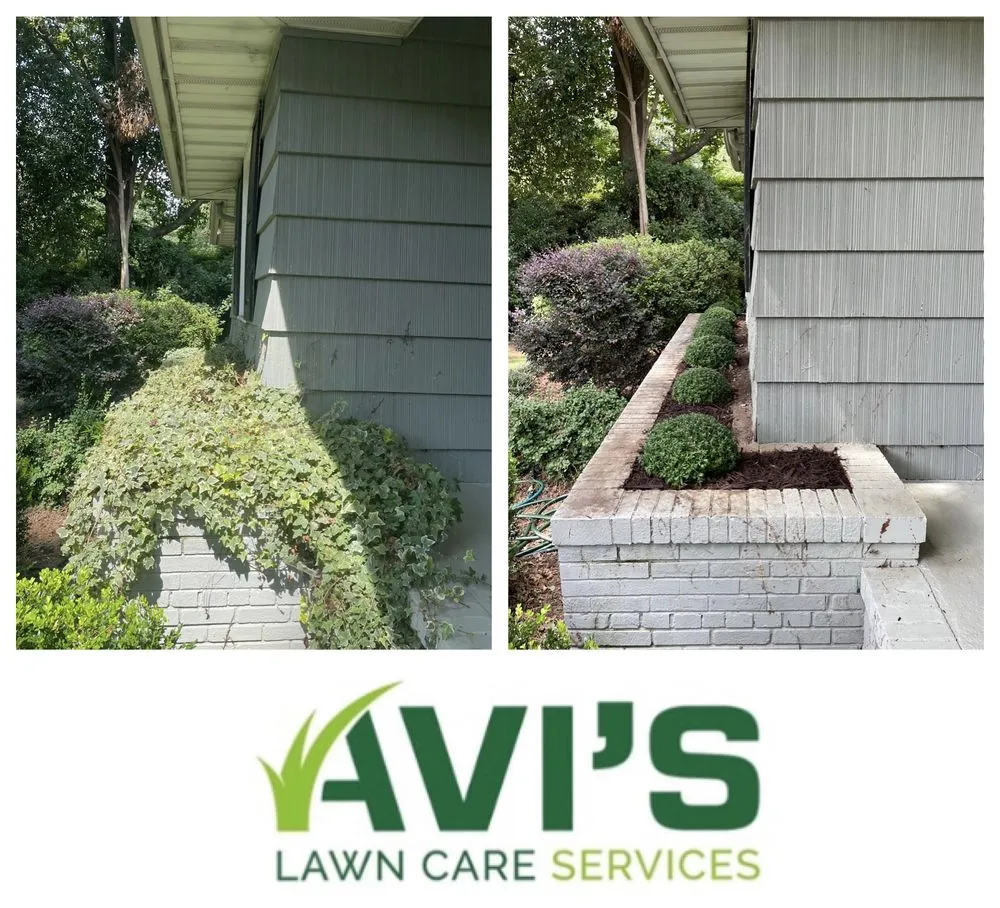Reliable landscape installation for year-round maintenance across Charlotte, NC - Avi’s Lawn Care Services