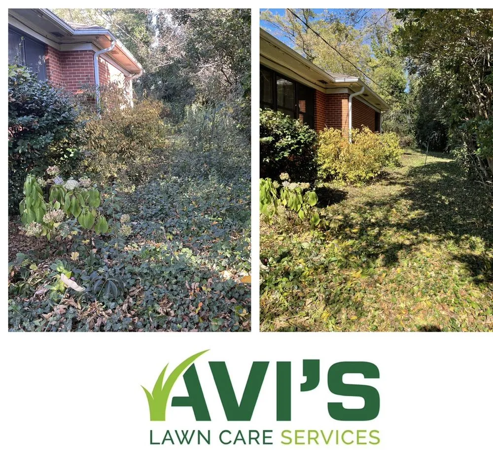 Affordable landscaping services for outdoor upgrades across Charlotte, NC - Avi’s Lawn Care Services