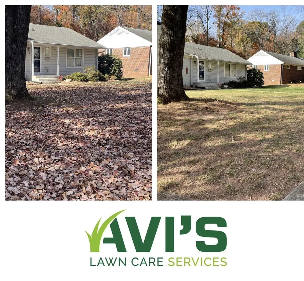 Trusted lawn care service experts serving Charlotte, NC - Avi’s Lawn Care Services