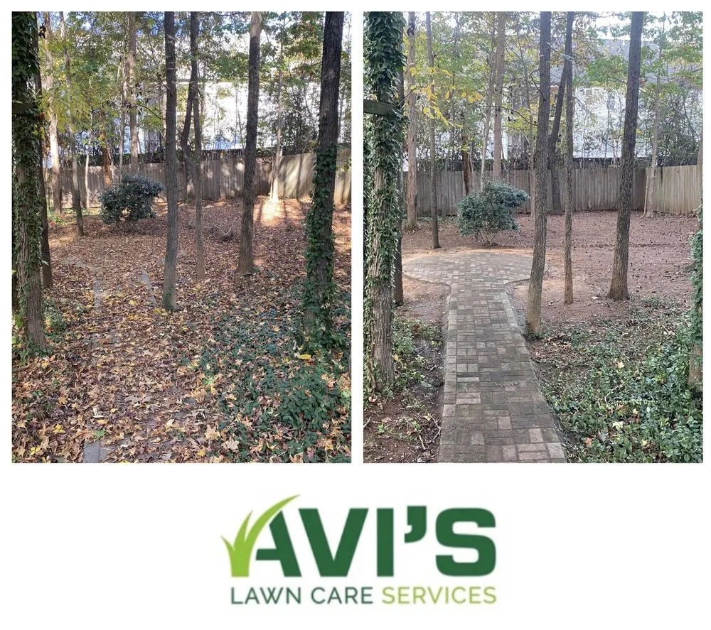 Top-rated landscape design in Charlotte, NC - Avi’s Lawn Care Services