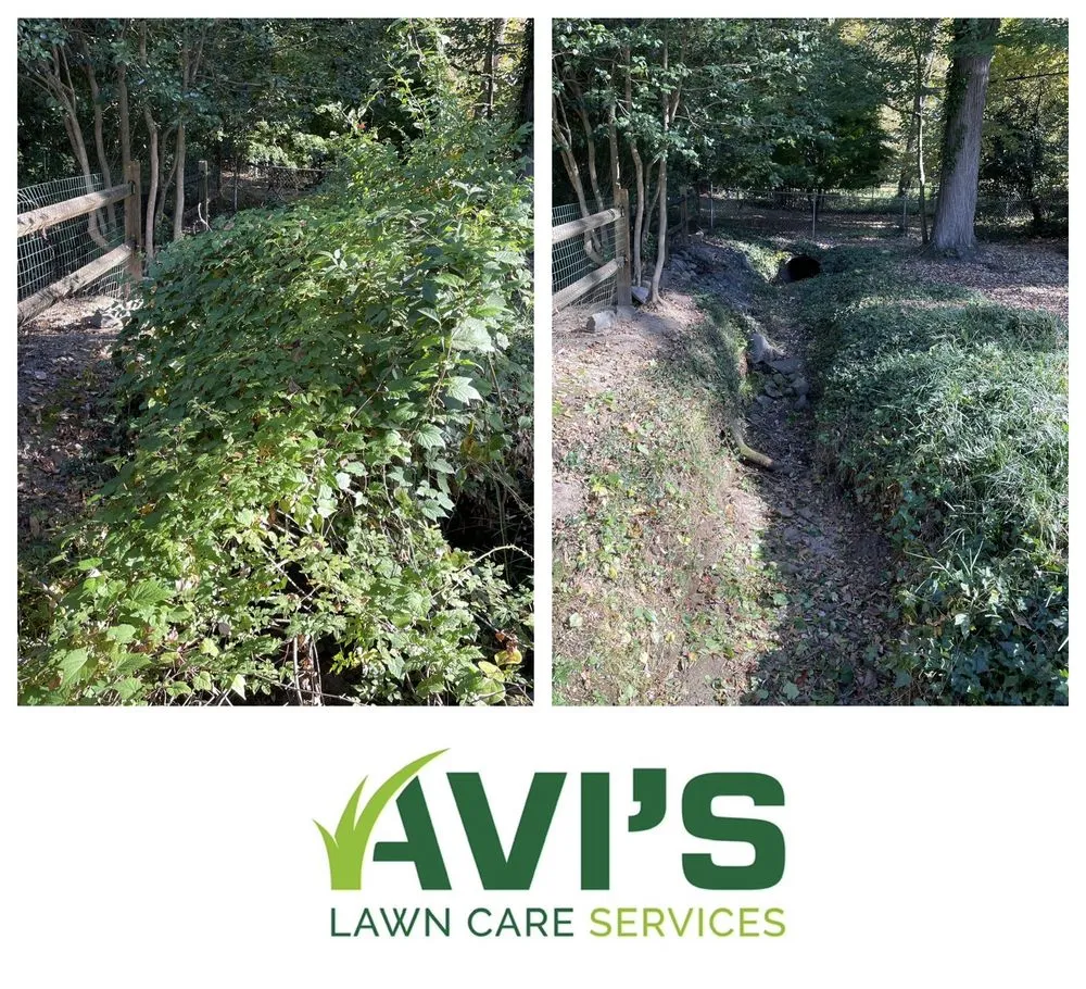 Affordable landscape installation for homes in Charlotte, NC by Avi’s Lawn Care Services