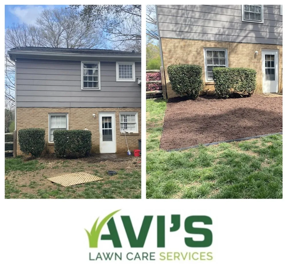 Top-rated yard cleanup service in Charlotte, NC by Avi’s Lawn Care Services