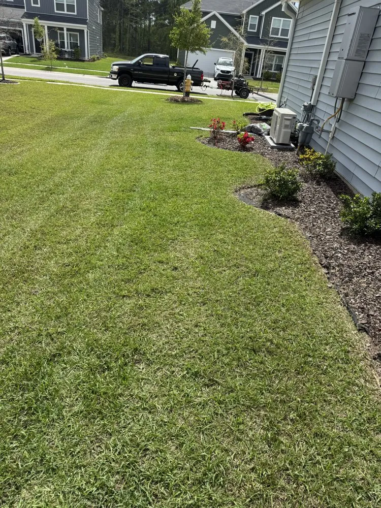 Expert landscape installation for year-round maintenance across Summerville, SC - Avithos Property Service
