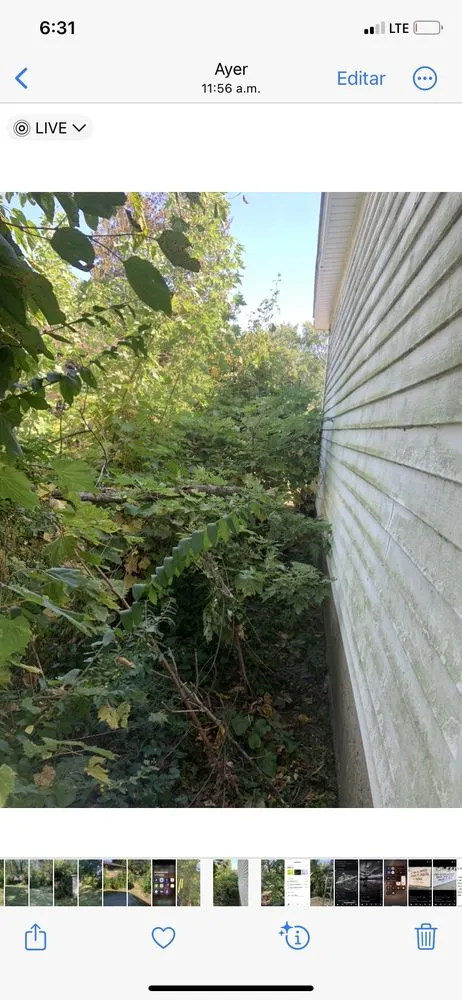 Affordable yard maintenance experts serving Gary, IN - AVIV Landscaping