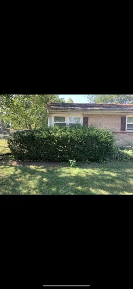 Trusted yard maintenance in Gary, IN - AVIV Landscaping