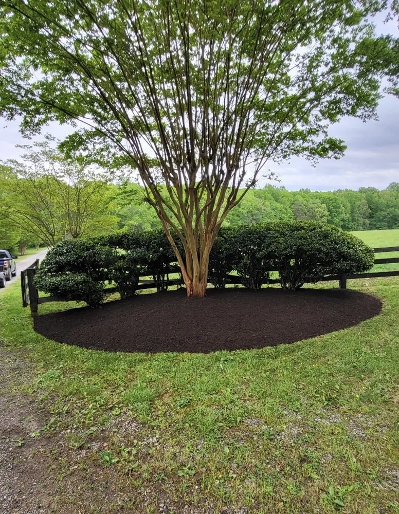 Professional yard maintenance near you across Gary, IN - AVIV Landscaping