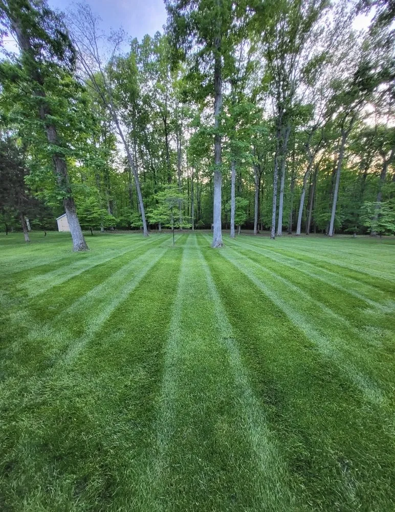 Top-rated landscape design in Gary, IN - AVIV Landscaping