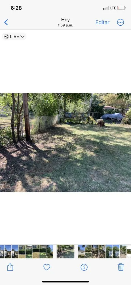 Local yard cleanup service in Gary, IN - AVIV Landscaping