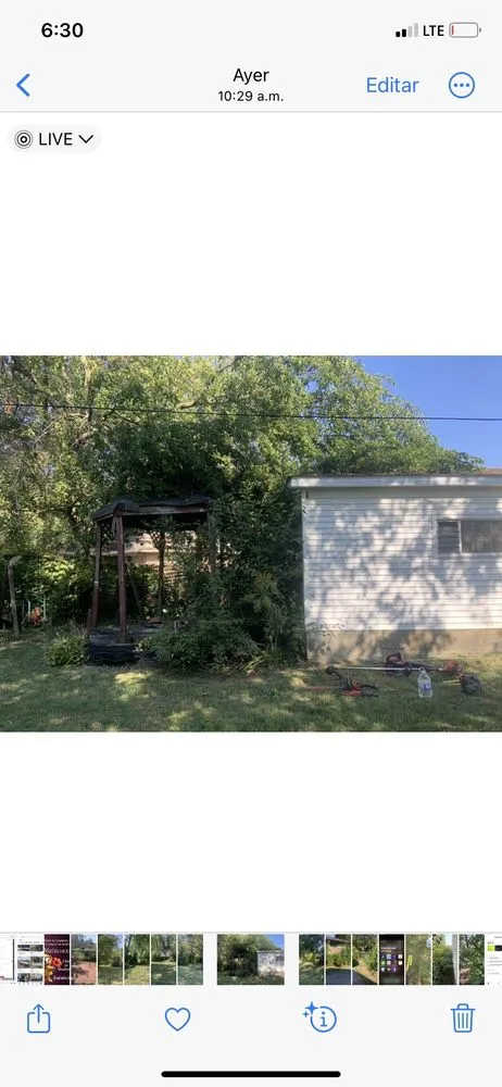 Trusted garden landscaping for year-round maintenance across Gary, IN - AVIV Landscaping