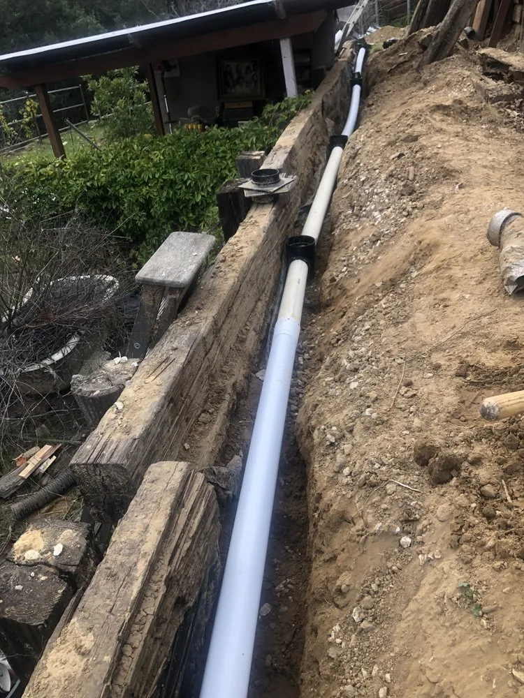 Professional yard cleanup service experts serving Santa Barbara, CA - Aviz Landscape Of Santa Barbara