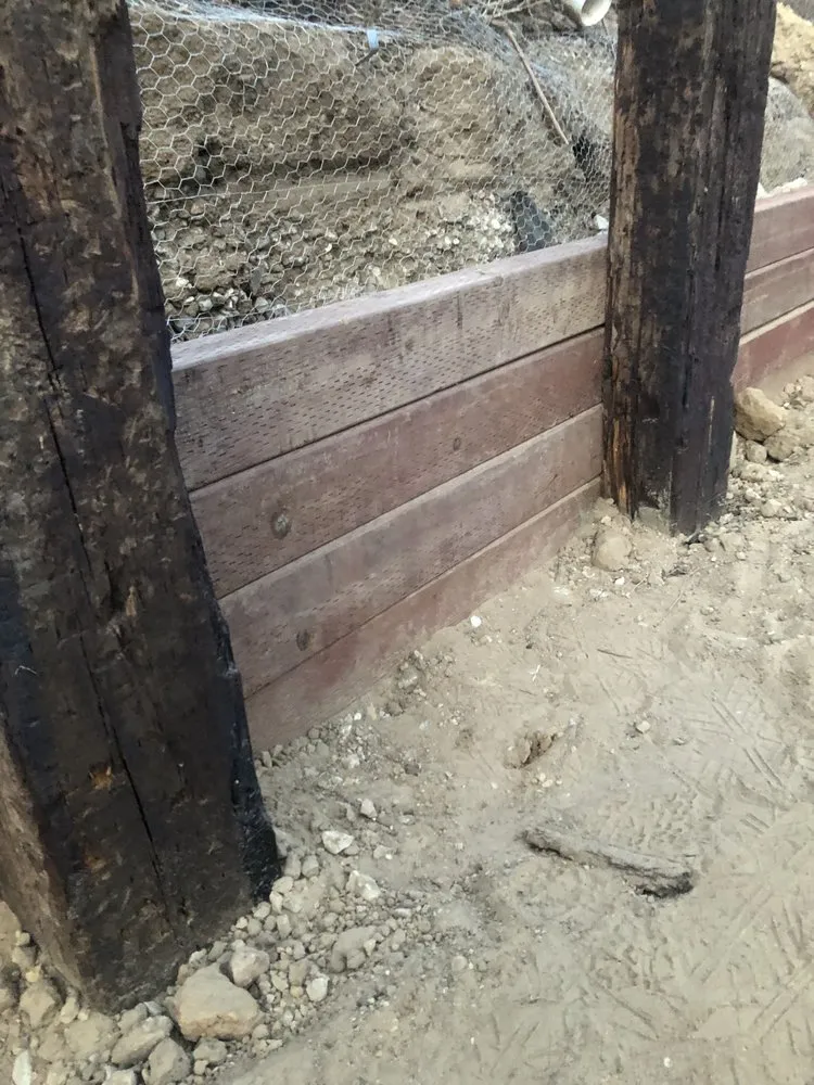 Affordable yard cleanup service in Santa Barbara, CA - Aviz Landscape Of Santa Barbara