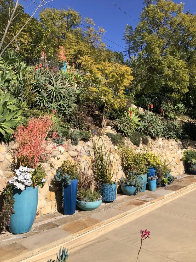 Top-rated residential landscaping in Santa Barbara, CA - Aviz Landscape Of Santa Barbara