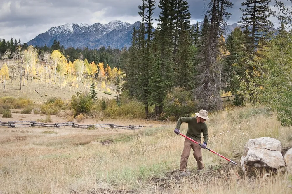 Custom lawn care service for year-round maintenance in Durango, CO by AVL Landscape Installation & Maintenance