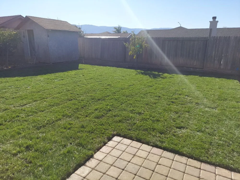Expert yard maintenance near you across Salinas, CA - AVM Landscaping