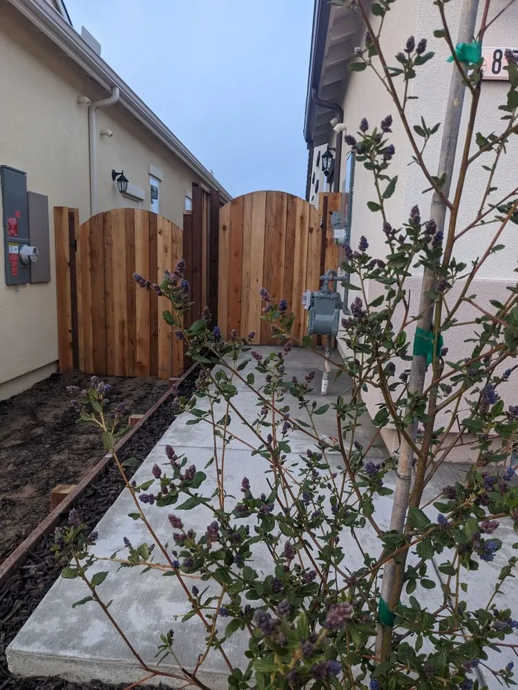 Custom yard cleanup service experts serving Salinas, CA - AVM Landscaping