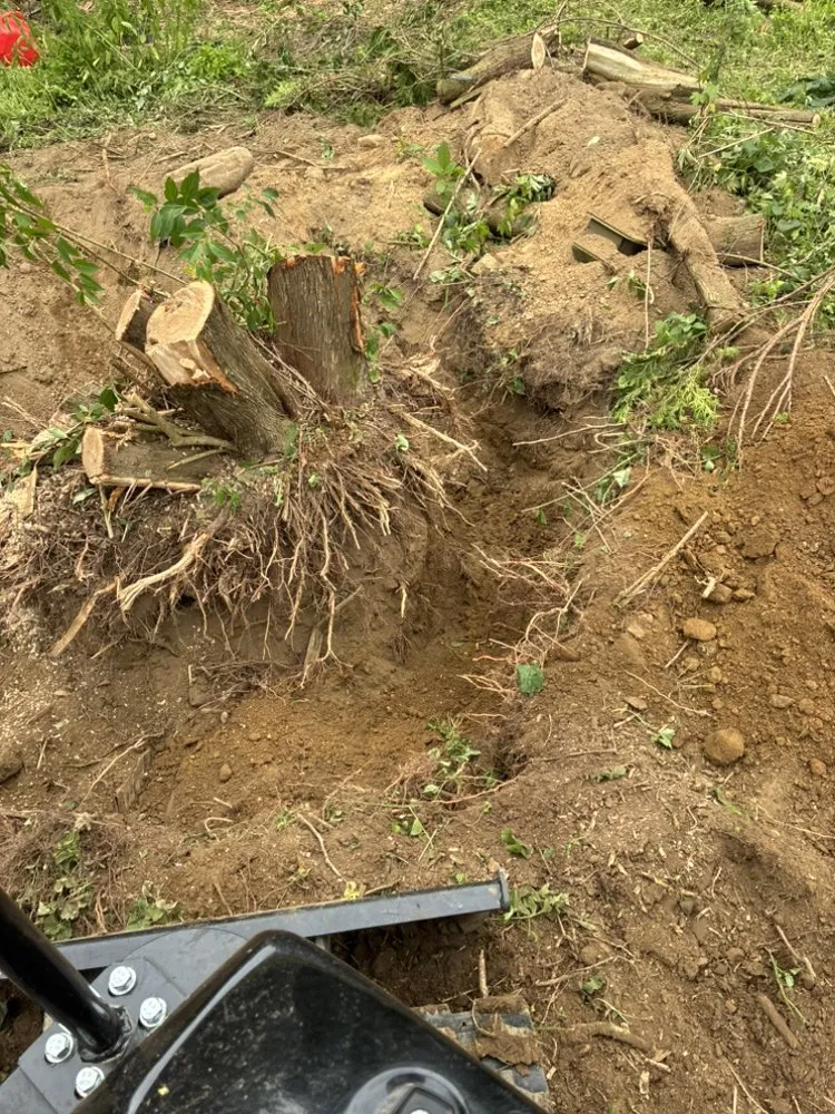 Local lawn care service for outdoor upgrades across New Britain, CT - AVN Landscaping