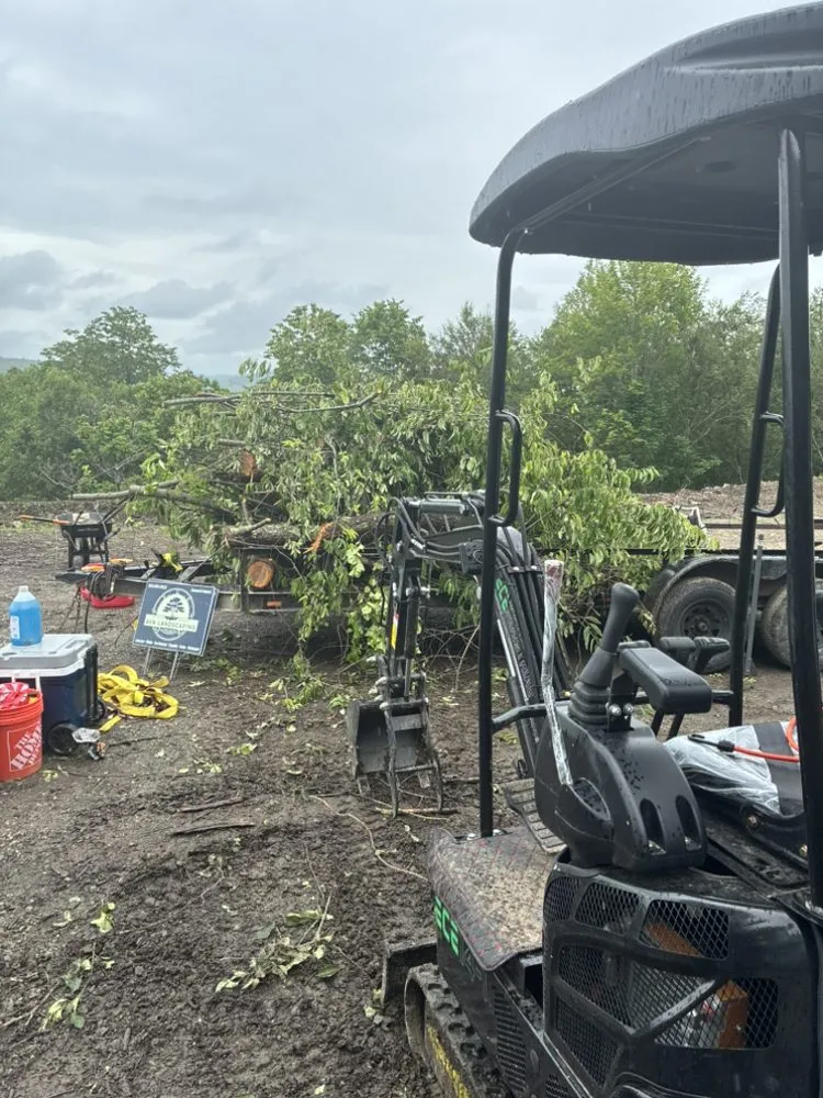 Custom lawn care service with custom design in New Britain, CT by AVN Landscaping