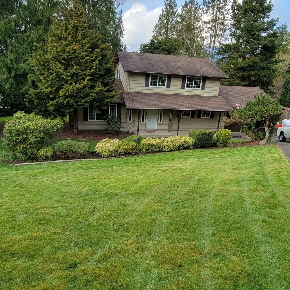 Expert residential landscaping with custom design across Mount Vernon, WA - Avn Lawn Mowing