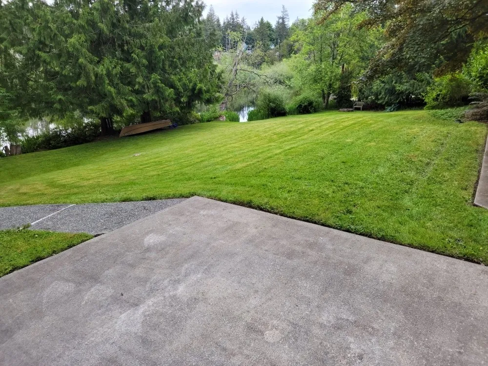 Custom residential landscaping for year-round maintenance in Mount Vernon, WA by Avn Lawn Mowing
