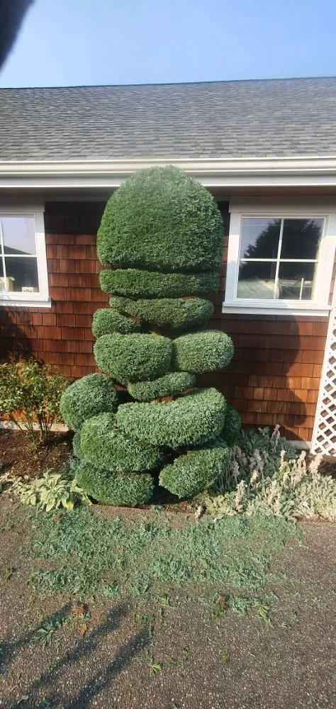 Professional garden landscaping with custom design in Mount Vernon, WA by Avn Lawn Mowing