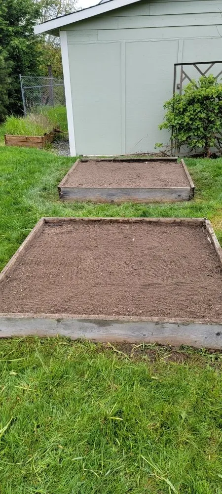 Expert yard cleanup service in Mount Vernon, WA - Avn Lawn Mowing