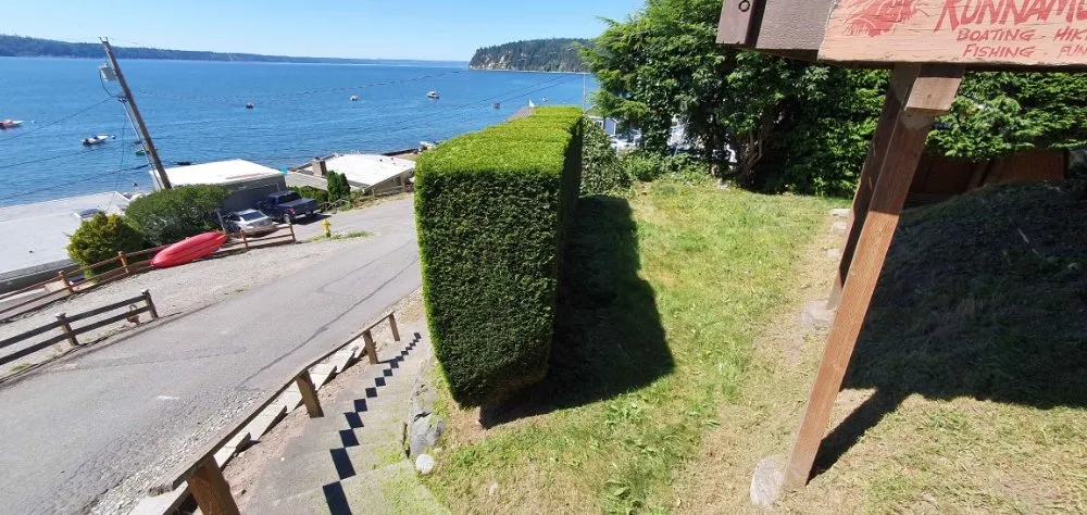 Local yard maintenance in Mount Vernon, WA - Avn Lawn Mowing