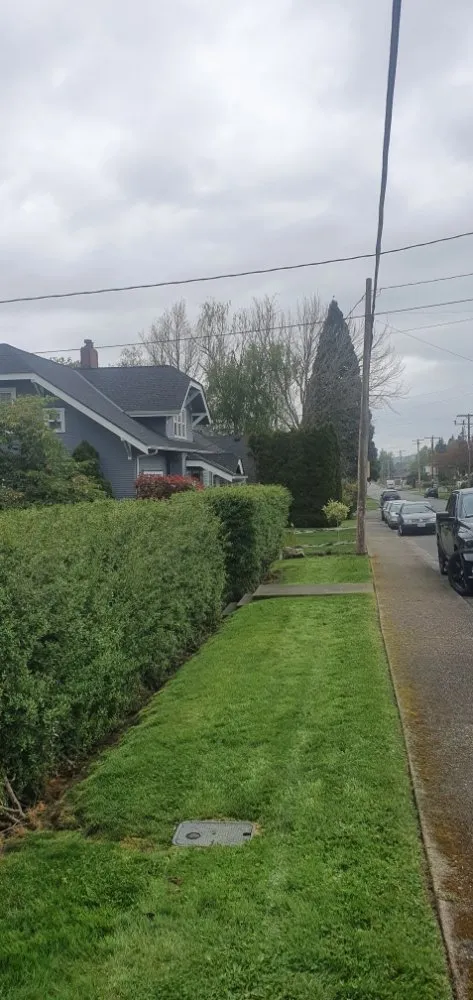 Local lawn mowing service near you across Mount Vernon, WA - Avn Lawn Mowing