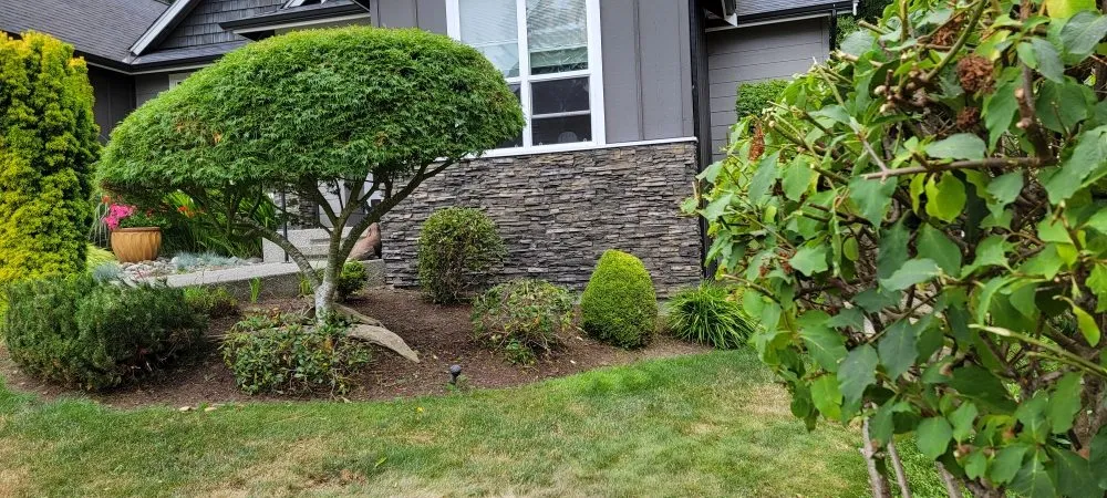 Trusted landscape design in Mount Vernon, WA by Avn Lawn Mowing