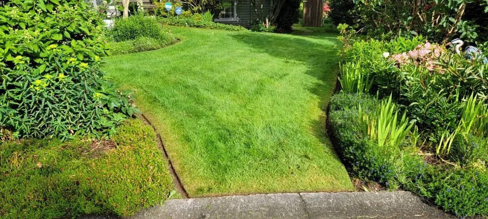 Local landscaping services for beautiful yards in Mount Vernon, WA by Avn Lawn Mowing