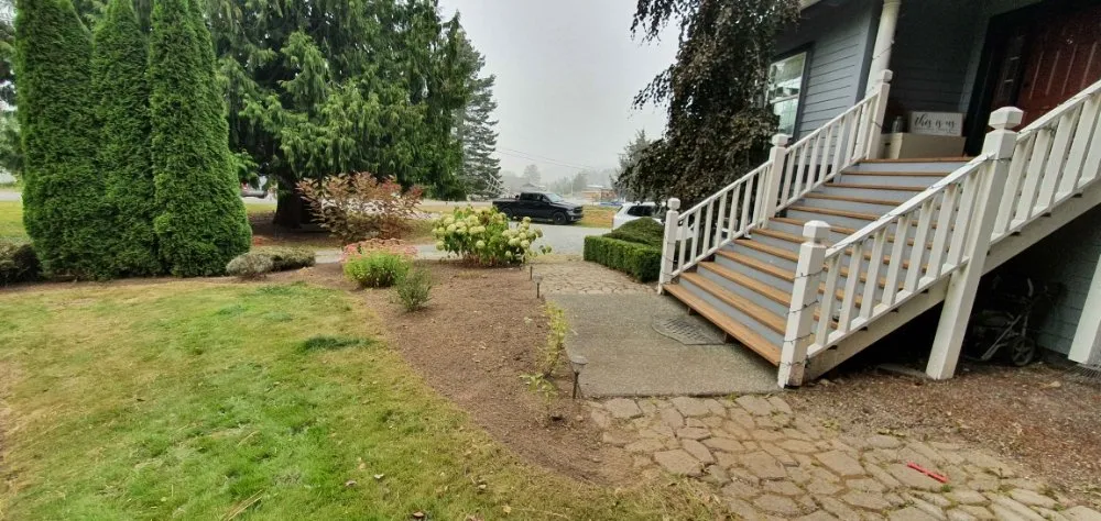 Professional yard cleanup service in Mount Vernon, WA - Avn Lawn Mowing